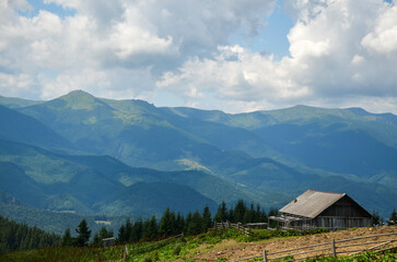 Beautiful Chornohora mountain range with a wooden shepherd house nestled among lush green fields and dense pine forests under a cloudy sky, evoking serenity and isolation. Carpathians, Ukraine