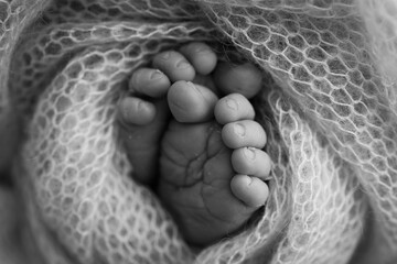 The tiny foot of a newborn baby. Soft feet of a new born in a wool blanket.