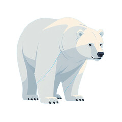 Fototapeta premium simple minimalist cute polar bear vector illustration isolated