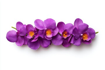 Obraz premium Intricate Close-Up of Beautiful Orchids with Vibrant Colors