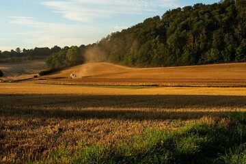 La cosecha al atardecer