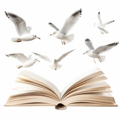 Fototapeta premium Six seagulls soaring above an open book symbolizing knowledge freedom and imagination.