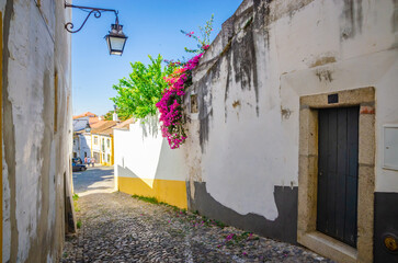 Fototapeta premium Beautiful cozy street and buildings in old town Evora, Portugal