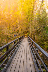 Fototapeta premium The wooden Mezni Bridge stretches across the Kamenice River, surrounded by vibrant autumn foliage in Bohemian Switzerland National Park, showcasing nature beauty and tranquil atmosphere.