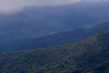 Fototapeta premium Background of a natural travel landscape with fog covering the road, clear sky from the viewpoint, various trees and cool breeze.