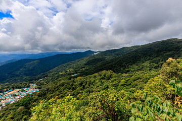 Obraz premium Background of a natural travel landscape with fog covering the road, clear sky from the viewpoint, various trees and cool breeze.