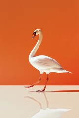 Fototapeta premium Person lifting foot, shadow as gentle swan