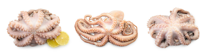 Fresh raw octopus isolated on white, collage