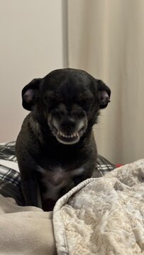 Do Smile