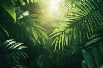Fototapeta premium Sunlit greenery tropical rainforest nature photography lush environment close-up view serenity and growth
