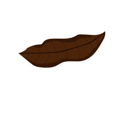 Fototapeta premium The Brown or Dried Leaf