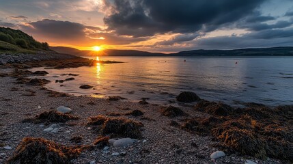 Stunning sunset over a calm bay, rocky beach with seaweed.