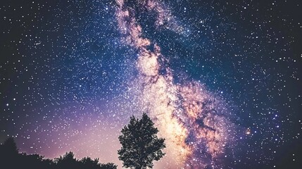 a lonely tree under a night sky full of stars