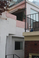 Pink and white sections of villa building