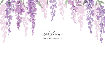 Watercolor of wisteria, isolated on a white background. Floral frame. Watercolor Pink and purple wisteria illustration isolated on a white background.