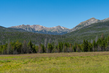 Vast green meadow surrounded by mountain ranges under a clear blue sky