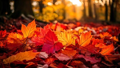 vibrant autumn leaves on a forest floor, in warm tones of red and orange. generative ai