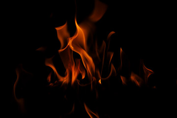 Obraz premium Fire flames on black background. Fire flame texture. Fire flame with copy space. Flames textured background. Flames on black background.