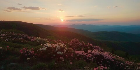 Obraz premium Sunset Over Layers of Mountain Ridges with Blooming Rhododendron 
