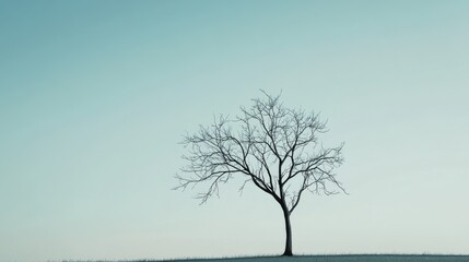 A single tree with branches forming different symbols of inclusion, Symbolizing the various aspects of diversity and equality, minimalistic style