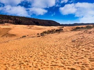 Spring Day at Coral Pink Sand Dunes State Park Near Kanab Utah.