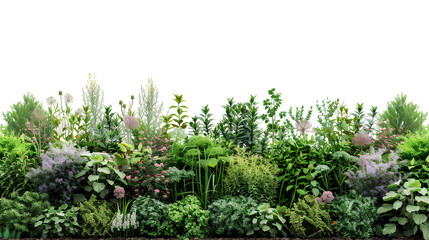 Lush and Vibrant Garden Bed Featuring Diverse Plants, Foliage, and Blossoms for Nature-Inspired Designs in Various Creative Projects