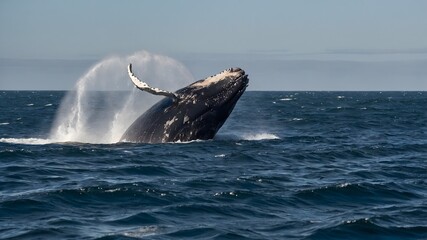 Honoring Traditions: A Colorful Native American Cultural Festival