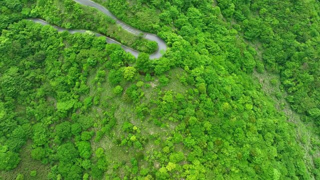 空撮、風景、景色、草原、森林、丘陵、真俯瞰、ドローン、上昇、回転、自然、環境、エコロジー、新緑、グリーン、エコシステム、SDGs、サステナビリティ、地球環境、環境保護、気候変動、サステナブル、持続可能な開発目標、グリーントランスフォーメーション、GX、ESG投資、CSR、TCFD、高原、環境問題、社会、クリーン、ハイアングル、展望、パノラマ、地平線、景観、真上、樹木、植物、道路、迫力、高地、日本、