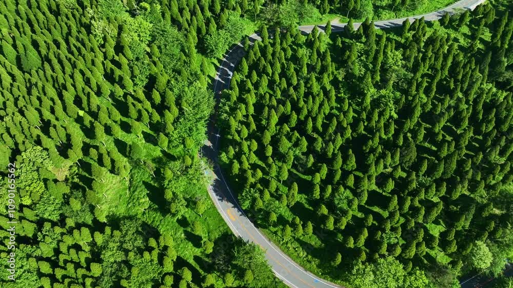 Poster 道路、自動車、空撮、風景、景色、森林、自然、峠道、エコロジー、交通、クルマ、ドローン、俯瞰、ドライブ、運転、旅行、観光、レンタカー、ツーリング、グリーン、ハイアングル、展望、パノラマ、鳥瞰図、上から見た、見下ろす、地平線、景観、迫力、環境、新緑、エコシステム、地球環境、環境保護、気候変動、サステナブル、SDGs、持続可能な開発目標、サステナビリティ、グリーントランスフォーメーション、GX、ESG投