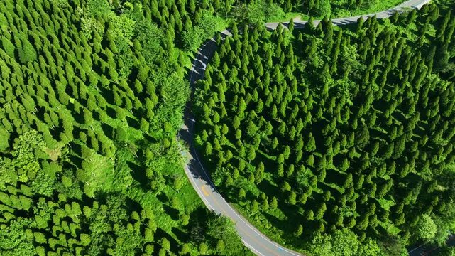 道路、自動車、空撮、風景、景色、森林、自然、峠道、エコロジー、交通、クルマ、ドローン、俯瞰、ドライブ、運転、旅行、観光、レンタカー、ツーリング、グリーン、ハイアングル、展望、パノラマ、鳥瞰図、上から見た、見下ろす、地平線、景観、迫力、環境、新緑、エコシステム、地球環境、環境保護、気候変動、サステナブル、SDGs、持続可能な開発目標、サステナビリティ、グリーントランスフォーメーション、GX、ESG投