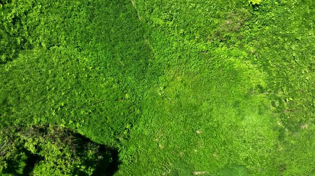 空撮、風景、景色、草原、森林、丘陵、真俯瞰、ドローン、上昇、回転、自然、環境、エコロジー、新緑、グリーン、エコシステム、SDGs、サステナビリティ、地球環境、環境保護、気候変動、サステナブル、持続可能な開発目標、グリーントランスフォーメーション、GX、ESG投資、CSR、TCFD、高原、環境問題、社会、クリーン、ハイアングル、展望、パノラマ、地平線、景観、真上、樹木、植物、道路、迫力、高地、日本、