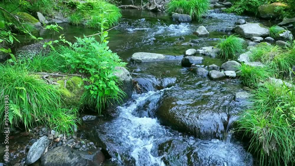Fototapete 渓流、小川、渓谷、清流、自然、環境、エコロジー、湧水、名水、新緑、流れる、水流、せせらぎ、水質、水源、サステナビリティ、SDGs、大地、グリーン、エコシステム、地球環境、環境保護、サステナブル、持続可能な開発目標、ESG投資、CSR、爽やか、植物、河川、雪解け水、釣り、夏、春、アウトドア、レジャー、風景、エコ、大自然、景色、環境問題、地球、水面、屋外、森林、旅行、マイナスイオン、癒し、リラクゼーシ