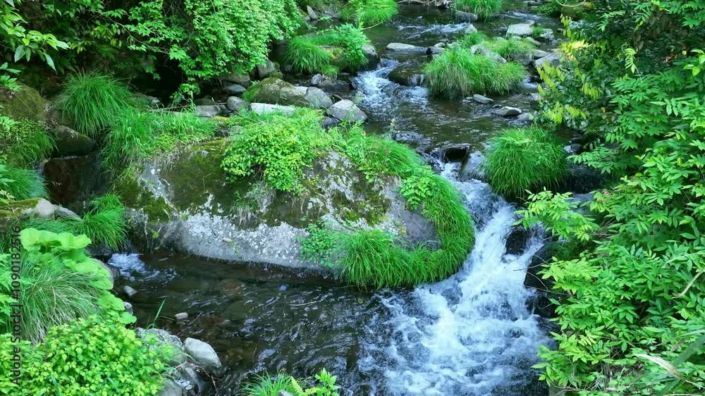Fototapete 小川、渓谷、渓流、清流、滝、湧水、峡谷、水流、エコロジー、アウトドア、癒し、苔、リラクゼーション、自然、環境、名水、新緑、流れる、せせらぎ、水質、水源、サステナビリティ、SDGs、大地、グリーン、エコシステム、地球環境、環境保護、サステナブル、ESG投資、CSR、爽やか、植物、河川、雪解け水、釣り、夏、春、レジャー、風景、エコ、大自然、景色、環境問題、水面、屋外、森林、旅行、マイナスイオン、岩場
