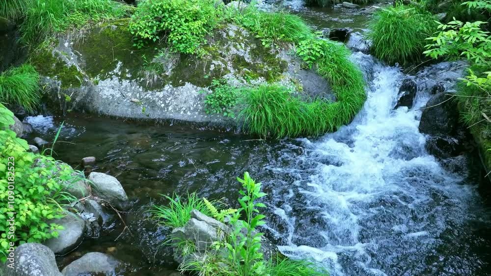 Aufkleber 小川、渓谷、渓流、清流、滝、湧水、峡谷、水流、エコロジー、アウトドア、癒し、苔、リラクゼーション、自然、環境、名水、新緑、流れる、せせらぎ、水質、水源、サステナビリティ、SDGs、大地、グリーン、エコシステム、地球環境、環境保護、サステナブル、ESG投資、CSR、爽やか、植物、河川、雪解け水、釣り、夏、春、レジャー、風景、エコ、大自然、景色、環境問題、水面、屋外、森林、旅行、マイナスイオン、岩場