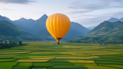 Fototapeta premium Golden Hour Hot Air Balloon Flight over Rice Terraces 