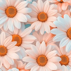 Fototapeta premium Close-up of Delicate White and Peach Daisies with Orange Centers