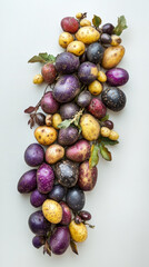 Fototapeta premium Artistic display of purple, yellow, and red potatoes, beautifully arranged on white background, showcasing their vibrant colors