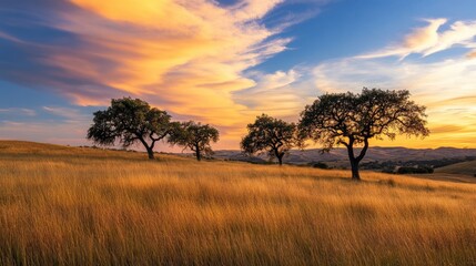 Fototapeta premium Serene Golden Hour Landscape with Majestic Trees Against a Colorful Sky and Rolling Hills, Capturing the Beauty of Nature’s Tranquility at Dusk