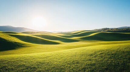 Fototapeta premium Serene Green Rolling Hills Under Bright Sunlight with Clear Blue Sky in Background, Capturing the Essence of Tranquil Landscapes in Nature
