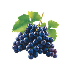 Lush Bunch of Dark Purple Grapes with Green Leaves