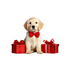 Adorable Golden Retriever Puppy with Red Bow Tie and Gifts
