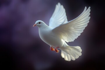 White Dove in Flight Peace Symbol Purity Hope Spiritual Bird