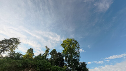 Obraz premium Landscape view of green forest with blue sky and white clouds.