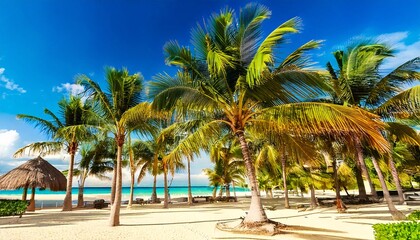 Naklejka premium A photo of palm trees on a beach 