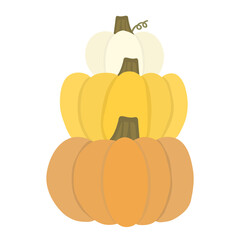 pumpkin on a white background