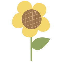Isolated sunflower, cute sun flower