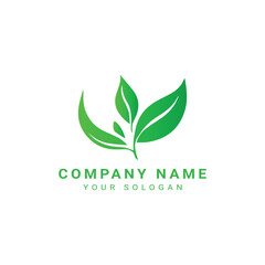 Business leaf logo design
