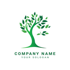 Fototapeta premium Business tree logo design