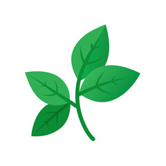 Obraz premium Oregano vector illustration 