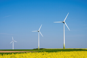 Three wind turbines with a flowering canola field seen in Germany